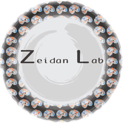 Zeidan Lab